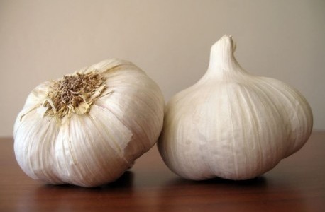 Benefici dell'aglio e sue caratteristiche