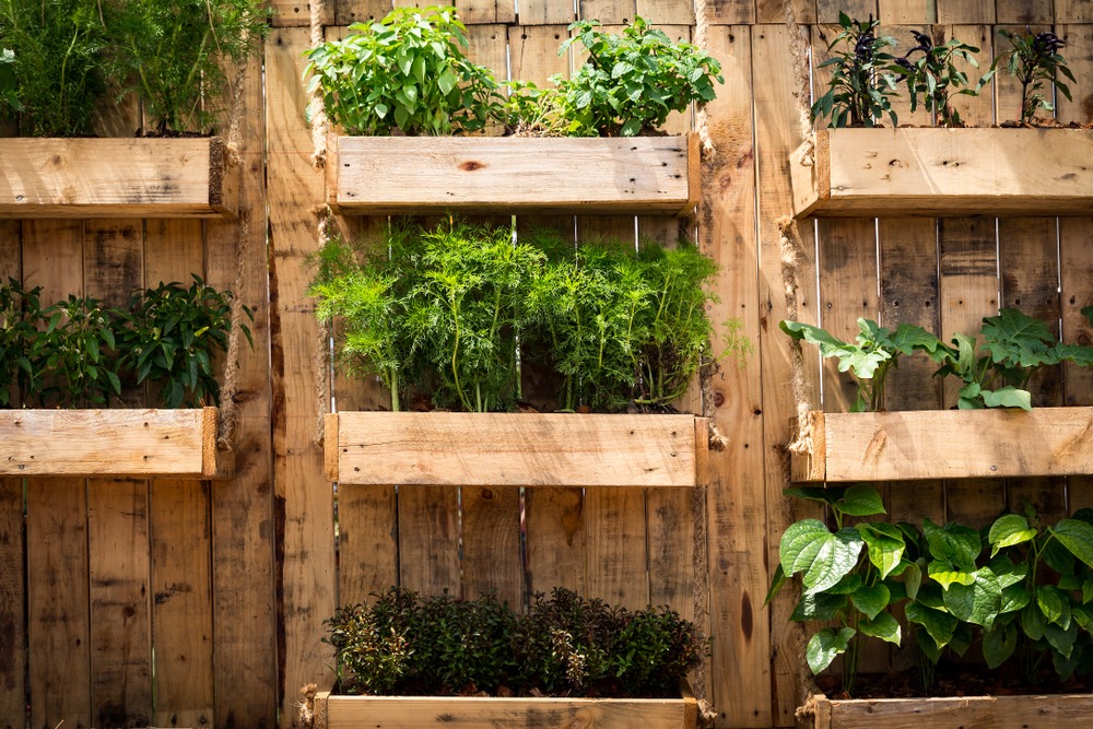 Orto verticale da balcone: cosa coltivare