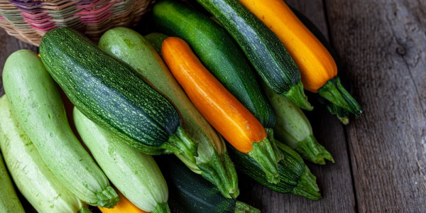 Tipi di zucchine: quando e come piantarle
